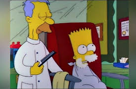 The Simpsons: 20 Best Episodes Ever - Anniversary Collection: Radio Bart