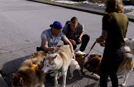 Dog Dudes: Dr Jekyll Mr Hyde