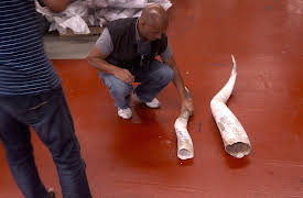 Border Control: Spain: Episode 13