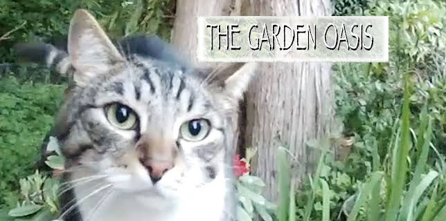 The Garden Oasis