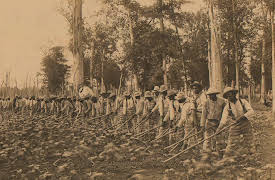 Reconstruction: America After the Civil War: Season 1: Episode 3