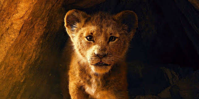 20:15: Der König der Löwen | Sat1 | 1/17 2026