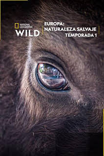 19:45: Europa: naturaleza salvaje: El lince perdido | Nat Geo Wild | 4/3 2026
