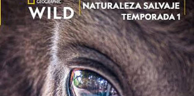 02:40: Europa: naturaleza salvaje: Una tierra de hielo y nieve | Nat Geo Wild | 12/29 2025