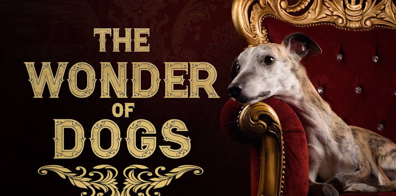 The Wonder of Dogs