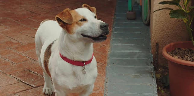 02:14: Sabuesos | Clan TVE | 12/12 2025