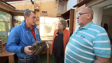 10:00: Der Trödeltrupp - Das Geld liegt im Keller (S12 E54) (S12) | RTL 2 | 4/22 2026