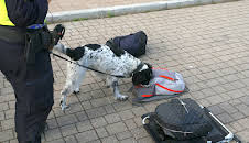 Gränsbevakarna Sverige (S1 E9)