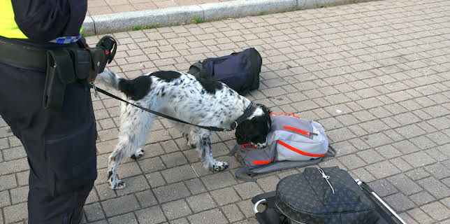 18:10: Gränsbevakarna Sverige (S1 E9) (S1) | Kanal 5 | 11/14 2025