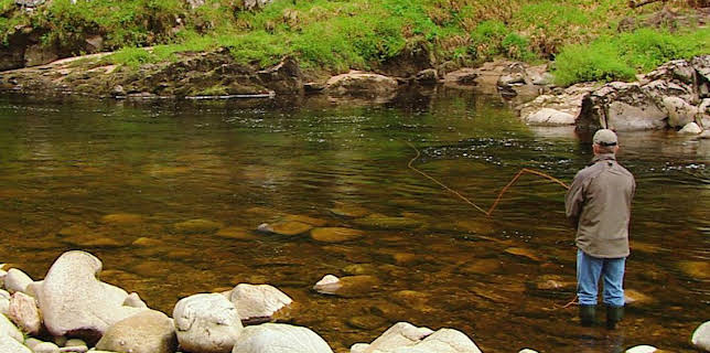 7:00 PM: Turas a Bhradain (S1 E5) (S1) | BBC Alba | 11/27 2025