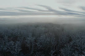 Ambient Swim, Season 1: Relaxing Old Footage With Joe Pera