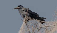 Abenteuer Wildnis