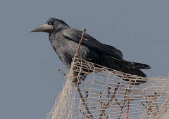 Abenteuer Wildnis