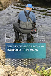 08:35: Pesca en peligro de extinción: barbada con vara | Caza y Pesca | 10/13 2026