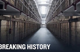 Breaking History Season 1: Secrets of Einstein's Brain