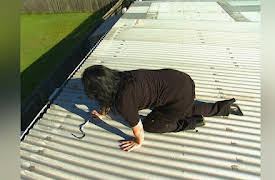 Snake Boss Season 1: The Fear Factor