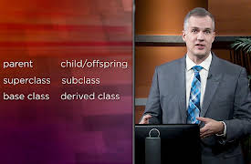 Introduction to C++: Programming Concepts and Applications: Object-Oriented Programming with Inheritance