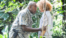 Hawaii Five-0 (S6 E19)