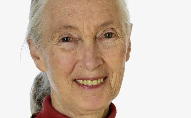 Jane Goodall