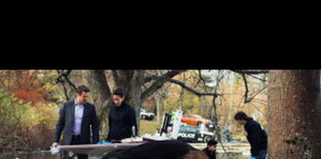 20:07: Hudson y Rex (T1): Ep.3 Perseguido por el pasado | AXN | 12/18 2025