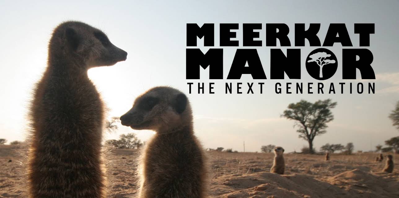 Meerkat Manor The Next Generation