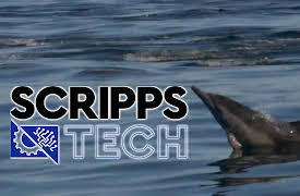 ScrippsTech: Whale Safe and Brain Implants