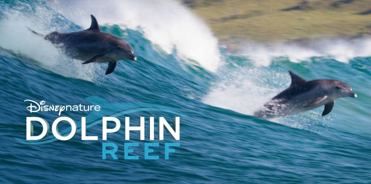 Dolphin Reef (2018)