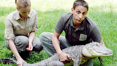 04:00: Tierärztin Dr. Mertens (16) | HR Fernsehen | 6/29 2026