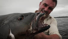 Chasing Monsters - Monsterfischen auf der Spur