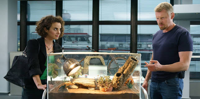 18:00: SOKO Wien | ZDF | 1/16 2026