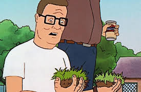 King of the Hill: 11. King of the Ant Hill