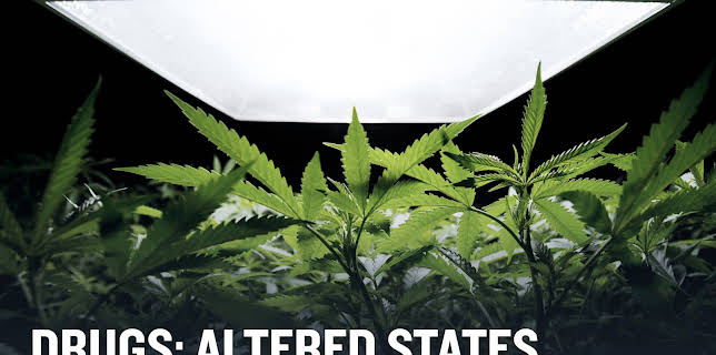 Drugs: Altered States Season 1