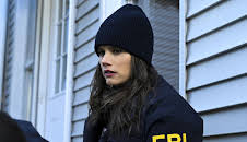 FBI: Special Crime Unit