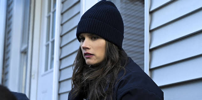 01:45: FBI: Special Crime Unit | Kabel Eins | 2/8 2026