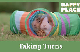 Happy Place: Taking Turns