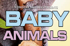 Baby Animals: Pilot