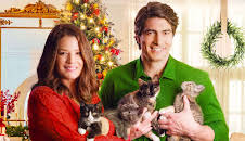 The Nine Kittens of Christmas (1)