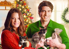 The Nine Kittens of Christmas