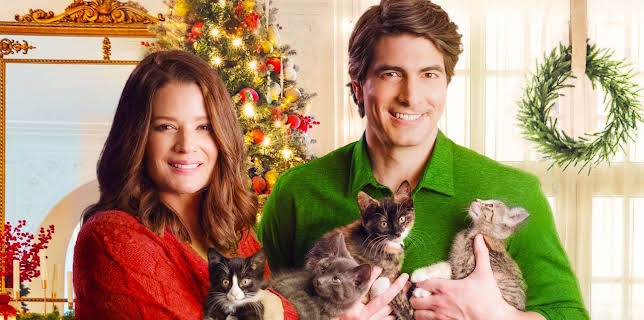 9:00 AM: The Nine Kittens of Christmas | Channel 5 | 12/20 2025