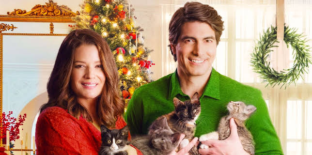 The Nine Kittens of Christmas