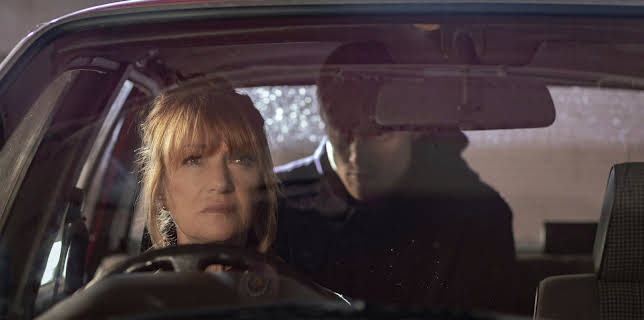 01:15: Harry Wild - Mörderjagd in Dublin | ZDF | 3/9 2026