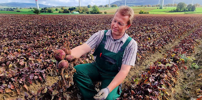 00:45: Die Nordreportage: Ackern bis zum Frost | 3SAT | 1/16 2026