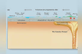 Introduction to Paleontology: Life’s Greatest Crisis: The Permian