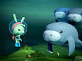 Octonauts