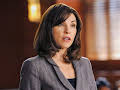 The Good Wife