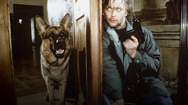 23:20: Kommissar Rex | Sat1 | 4/27 2026