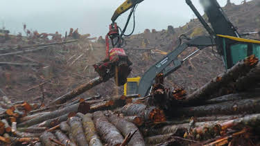 10:00: Tuffa timmerstockar (S3 E2) (S3) | TV10 | 4/6 2026