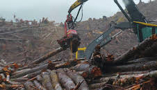 Tuffa timmerstockar (S3 E2)