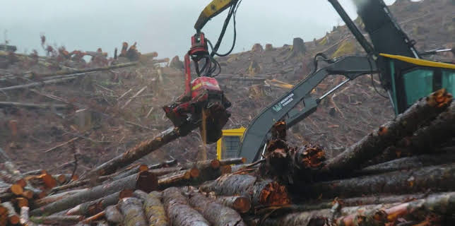 22:00: Tuffa timmerstockar (S3 E2) (S3) | TV10 | 1/30 2026