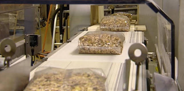 07:00: GRIPS Englisch | ARD Alpha | 2/4 2026